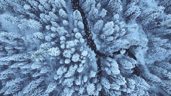 4K雾凇雪景