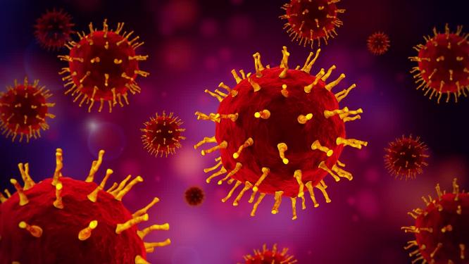 初代新冠病毒分子结构研究