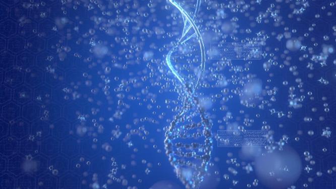 dna水分子结构混合