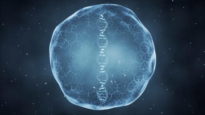 dna螺旋状水分子结构
