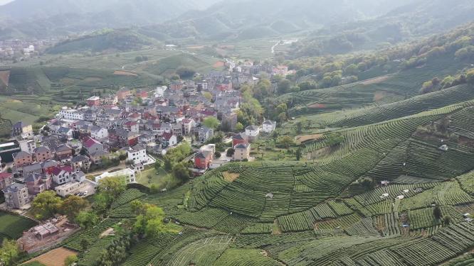 茶园梯田茶场居民区航拍