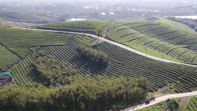 航拍茶园梯田