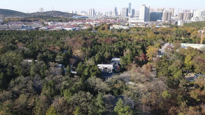 航拍江苏徐州汉文化园4A景区