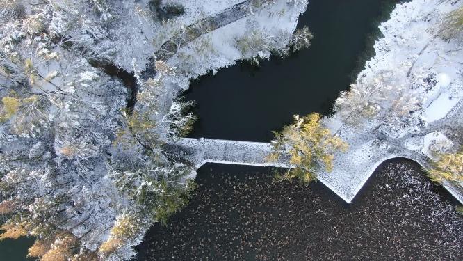 旅游景区山东济南大明湖5A冬天雪景