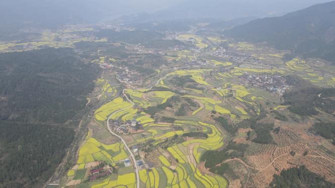 航拍美丽乡村梯田油菜花