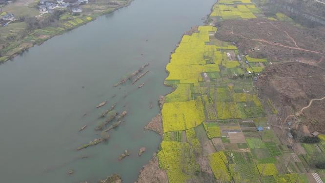 航拍美丽乡村油菜花农业种植山川丘陵