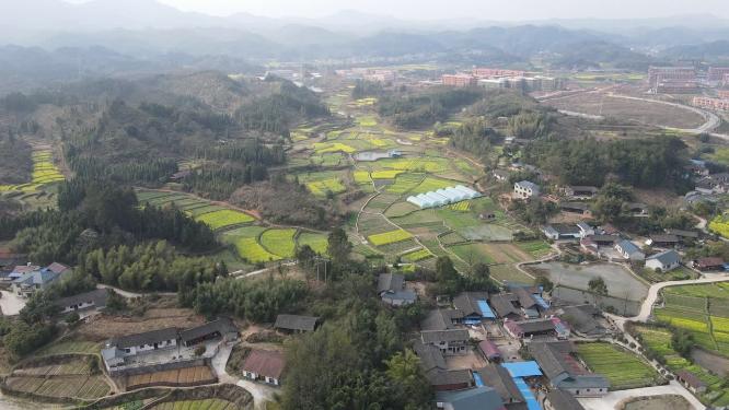 航拍美丽乡村油菜花农业种植山川丘陵