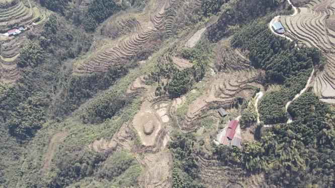 航拍高山梯田农业种植