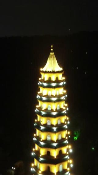 航拍广西南宁青秀山龙象塔