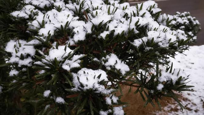 张家界武陵源冬天雪景