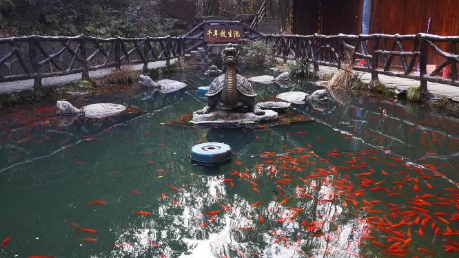 湖南张家界武陵源5A景区