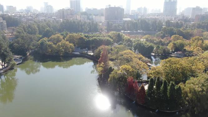 航拍东莞城市公园绿化植物广场