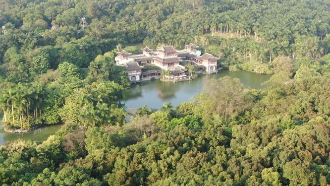 航拍东莞城市公园绿化植物广场