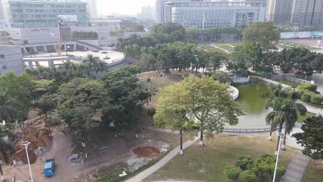 航拍东莞城市公园绿化植物广场