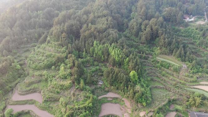 航拍山中梯田乡村