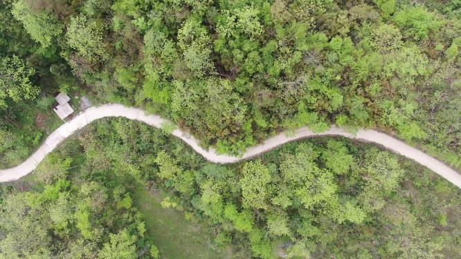 航拍湖南张家界武陵源百丈崖公路