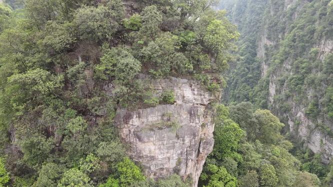 航拍湖南张家界武陵源百丈崖公路