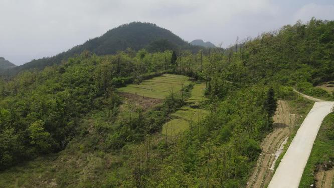航拍湖南张家界雄伟壮观山川