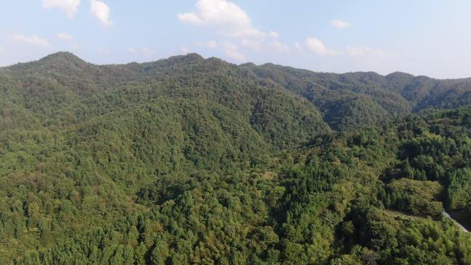 航拍连绵起伏山川森林