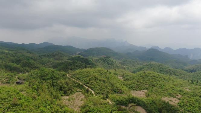 航拍湖南张家界高山山川农业种植