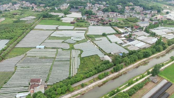航拍农业大棚蔬菜种植