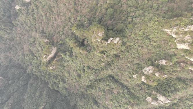 航拍湖南张家界武陵源奇山山川