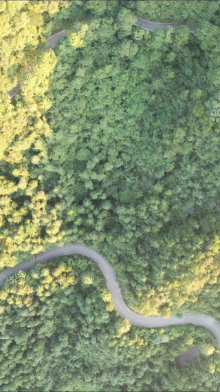 湖南怀化中破山公园竖屏