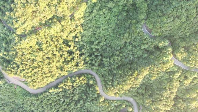 俯拍蜿蜒盘山公路