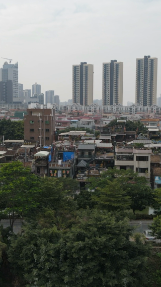 城市航拍广东东莞下坝坊竖屏