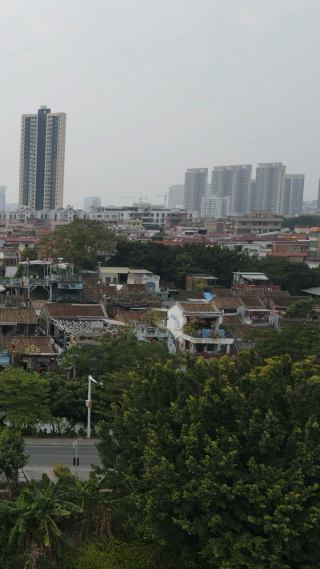 城市航拍广东东莞下坝坊竖屏