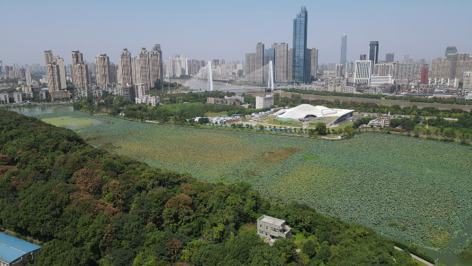 城市航拍武汉琴台文化艺术中心