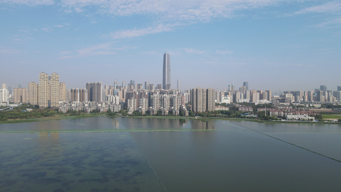 城市航拍武汉第一高楼绿地中心