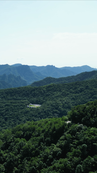 大自然绿色植物森立竖屏航拍