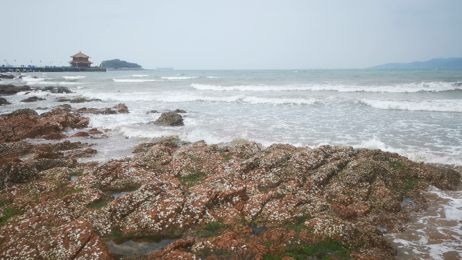 实拍大海海浪沙滩礁石
