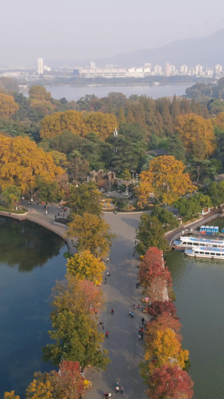 旅游景区南京玄武湖秋天竖屏