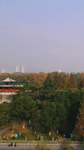 旅游景区南京玄武湖秋天竖屏
