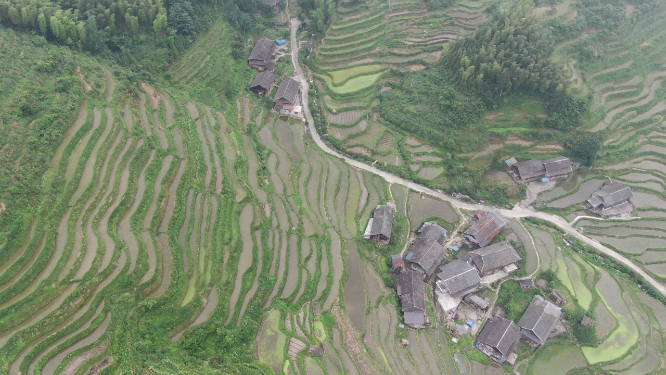 旅游景区广西桂林龙脊梯田