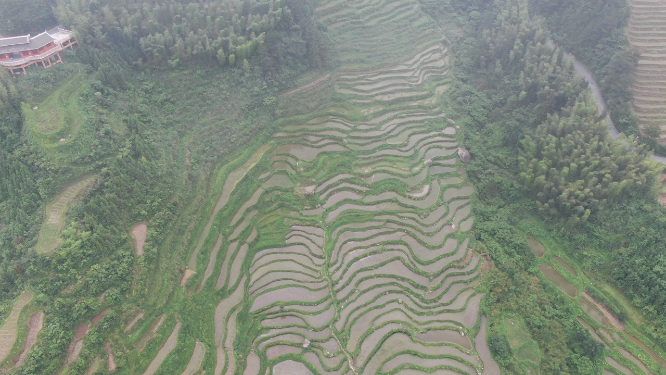 旅游景区广西桂林龙脊梯田
