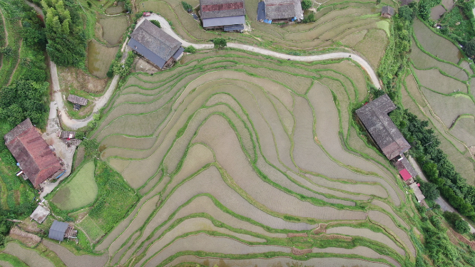 旅游景区广西桂林龙脊梯田