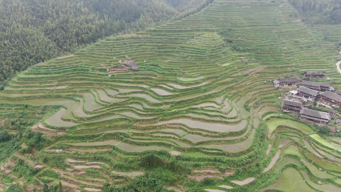 旅游景区梯田农业种植航拍