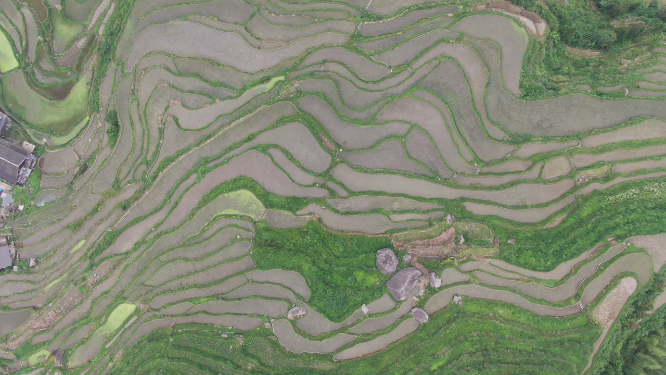 旅游景区梯田农业种植航拍