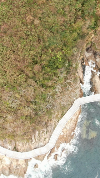 旅游景区深圳大梅沙海滨步道竖屏航拍