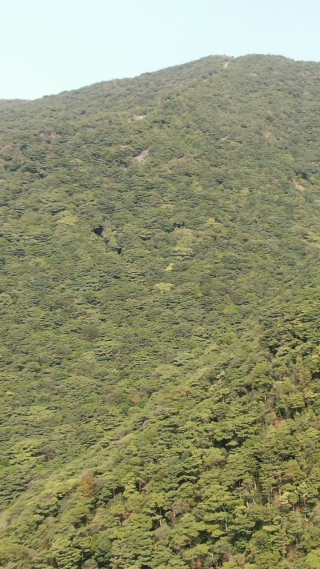 旅游景区深圳梧桐山竖屏航拍