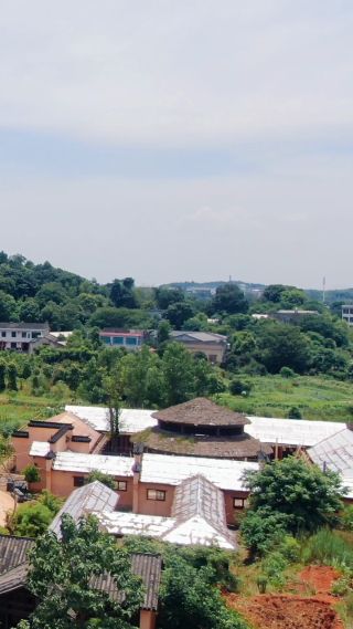 旅游景区湖南宁乡道林古镇竖屏航拍