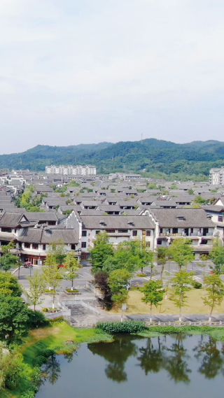 旅游景区湖南常德桃花源古镇竖屏