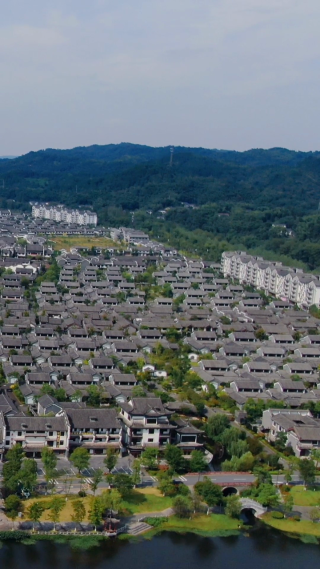 旅游景区湖南常德桃花源古镇竖屏航拍