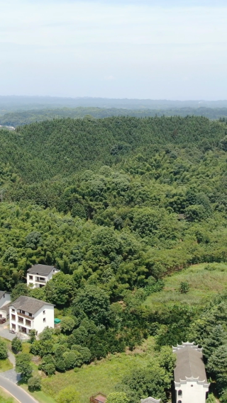旅游景区湖南常德桃花源竖屏航拍