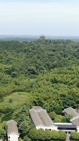 旅游景区湖南常德水府阁竖屏航拍