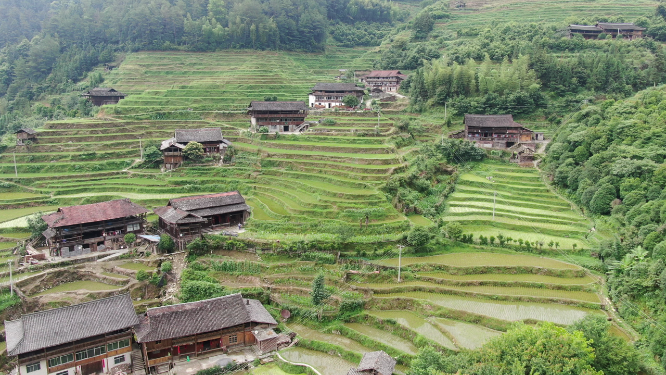 旅游景区湖南紫鹊梯田航拍