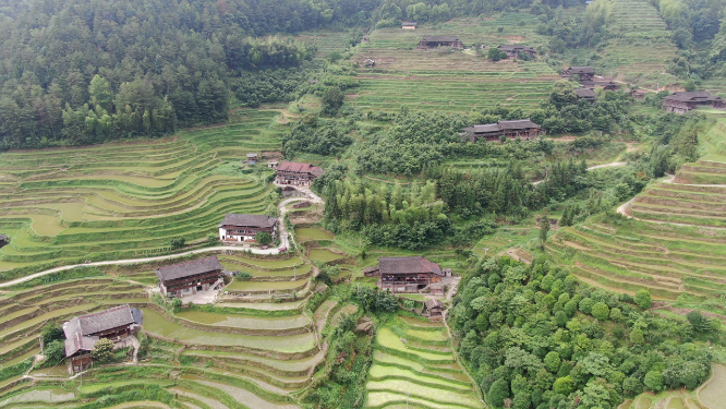 旅游景区湖南紫鹊梯田航拍